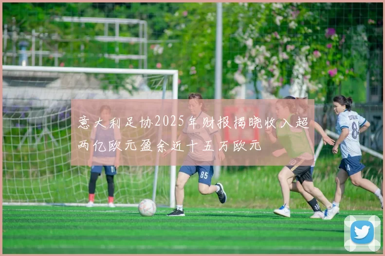 意大利足协2025年财报揭晓收入超两亿欧元盈余近十五万欧元